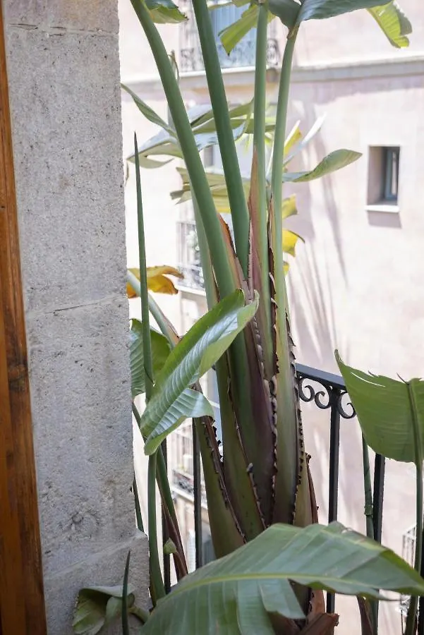 Hostal Sol y K Barcelona Pensión